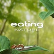 Programikonen: Eating Nature