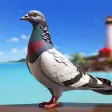Pigeon Bird Flight Simulator