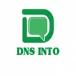 Symbol des Programms: DNS Into