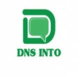 DNS Into