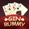 ไอคอนของโปรแกรม: Gin Rummy Pro