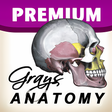 Programın simgesi: Gray's Anatomy Premium Ed…