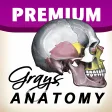 Ikon program: Gray's Anatomy Premium Ed…