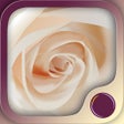 ไอคอนของโปรแกรม: Love  Intimacy Hypnosis
