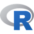 プログラムのアイコン：R