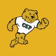 Programın simgesi: CSP Bears
