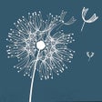 Icoon van programma: InspireMe Cards