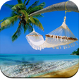 Icon of program: HD Beach Wallpapers