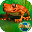 プログラムのアイコン：Amazing Amphibians