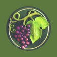 程序图标：Carmelos Wine  Liquor