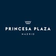 程序图标：Hotel Princesa Plaza Madr…