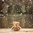 プログラムのアイコン：Photo effects theme natur…