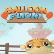 Programikonen: Balloon Flight