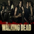 Icon of program: The Walking Dead HD Wallp…
