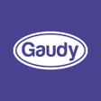 プログラムのアイコン：gaudy ksa