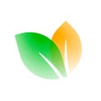 أيقونة البرنامج: Wellify - Simplify Wellne…