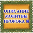 Ikona programu: Описание намаза Пророка