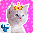 程序图标：My Cat Album - Adorable K…