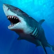 程序图标：Shark HD Wallpaper
