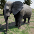Ikon program: Happy Elephant Simulator