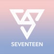 Seventeen Light Stick