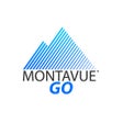 Icon of program: MontavueGO2.0