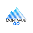Icône du programme : MontavueGO2.0