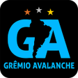 程序图标：Gr?mio Avalanche