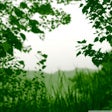 Icon of program: Nature Photo Frames - Nat…