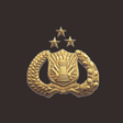 プログラムのアイコン：PolisiKu Presisi