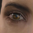 Icon of program: The Eyes Of Beauty Fallout Edition