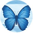 Programikonen: Blue Sky Post It