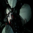 程序图标：ECHO