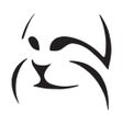 Ikon program: LYNX Player