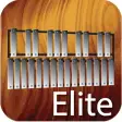 Professional Xylophone Elite