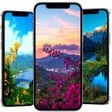程序图标：nature wallpaper