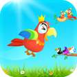 Bird Sort Master: Color Puzzle icon
