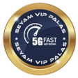 程序图标：SEYAM VIP PALAS