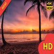 Icon of program: Tropical Beach Theme & Tr…