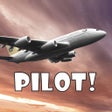 프로그램 아이콘: Pilot