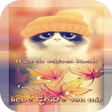 プログラムのアイコン：Schönen Abend Liebe Abend…