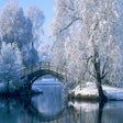 Icon of program: Beautiful Winter Wallpape…