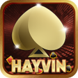 程序图标：HAYVlN