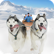 Иконка программы: Snow Dog Sledding Transpo…