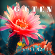 أيقونة البرنامج: German Good Morning Good …