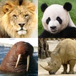 Icono de programa: Animals Quiz - Mammals in…