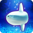 程序图标:Aquarium sunfish simulati…