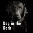 プログラムのアイコン：Dog in the Dark