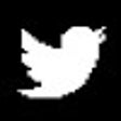 程序图标：Twitter Token Login