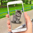 Icono de programa: Collect Pocket Cats